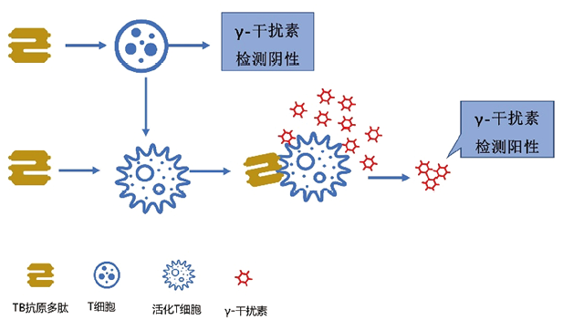 杨祥胜-图2.png