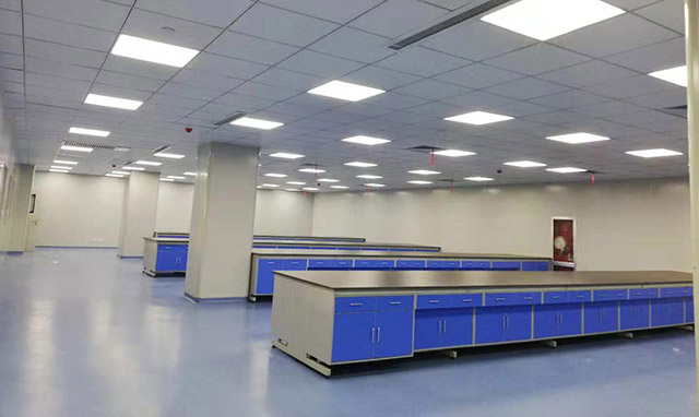 1539328786404062545.jpg 欣莱1.jpg