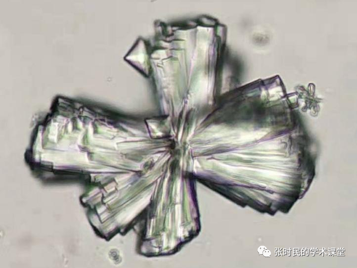 张时民老师带你认识各种尿结晶_学术交流_检验视界_检验视界网