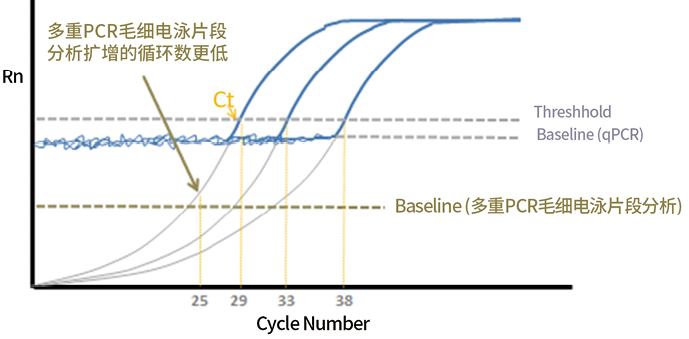 多重荧光PCR毛细电泳片段分析技术研究与临床应用