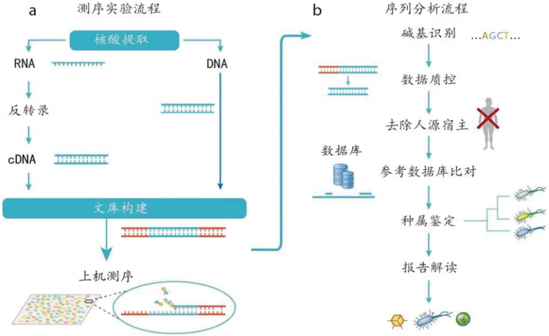 宏基因组高通量测序技术临床转化与平台建设