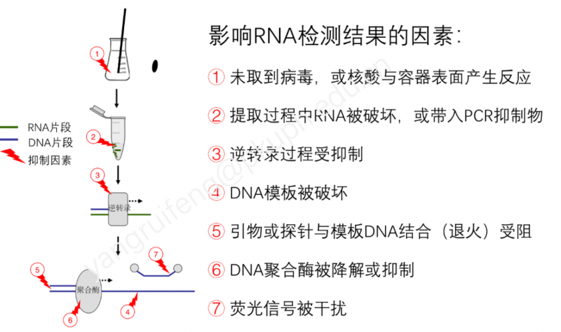 检验人，当你开始依赖「新冠阳性质控」时，就输了！