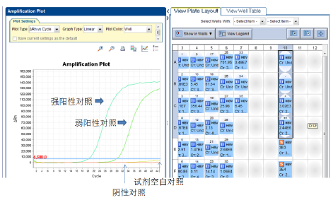 「有扩增，但病毒载量小于阈值」这样的扩增曲线该如何报告？