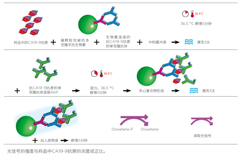 路漫漫其修远兮：浅谈肿瘤标志物参考区间的统一