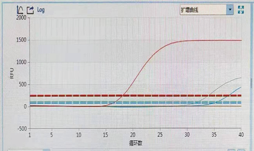 新型冠状病毒核酸检测质量控制关键点与经验分享