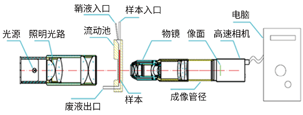 平面流式成像分析技术的临床应用现状与发展方向