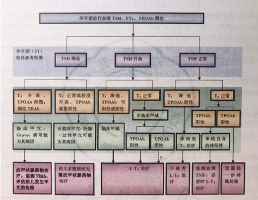 甲亢变甲减，到底是怎么回事？