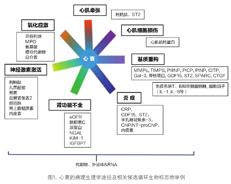 心血管疾病生物标志物临床应用与未来临床诊疗需求