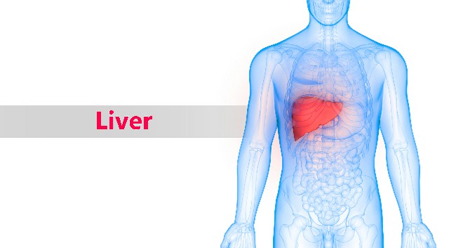 详读案例，探究HBV-DNA、HBV-M、肝功能结果模式