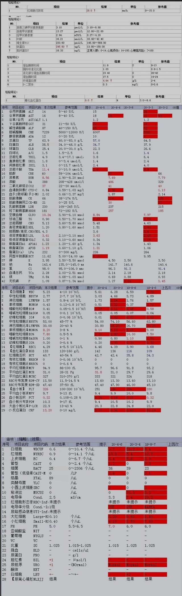 1591599554960054584.jpg 4_副本.jpg