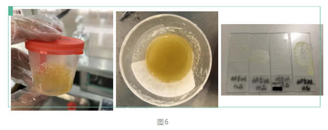 1591599580640075947.jpg 6_副本.jpg